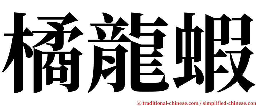 橘龍蝦 serif font