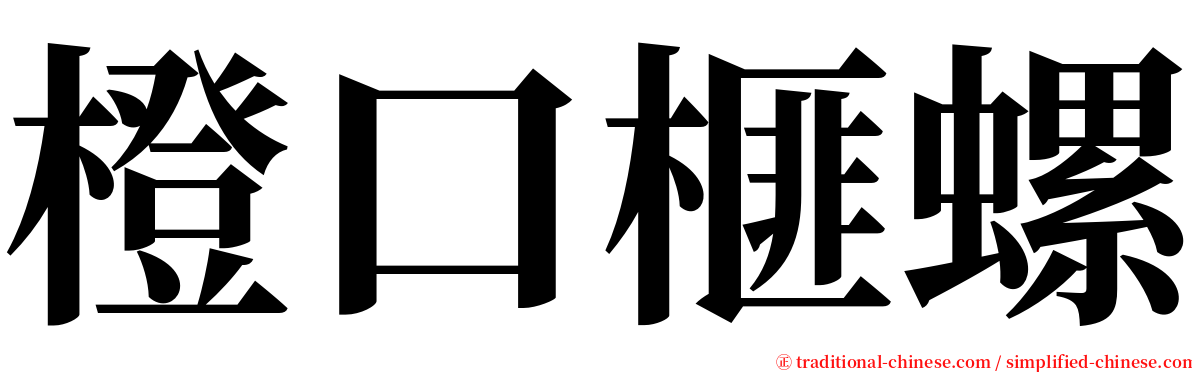 橙口榧螺 serif font