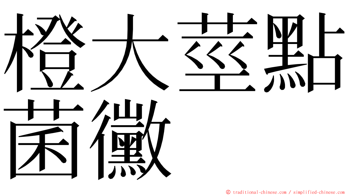 橙大莖點菌黴 ming font