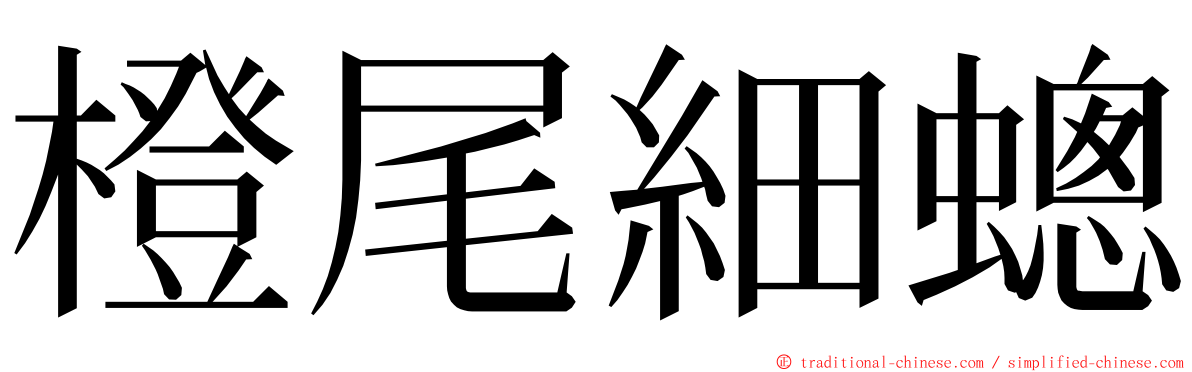 橙尾細蟌 ming font