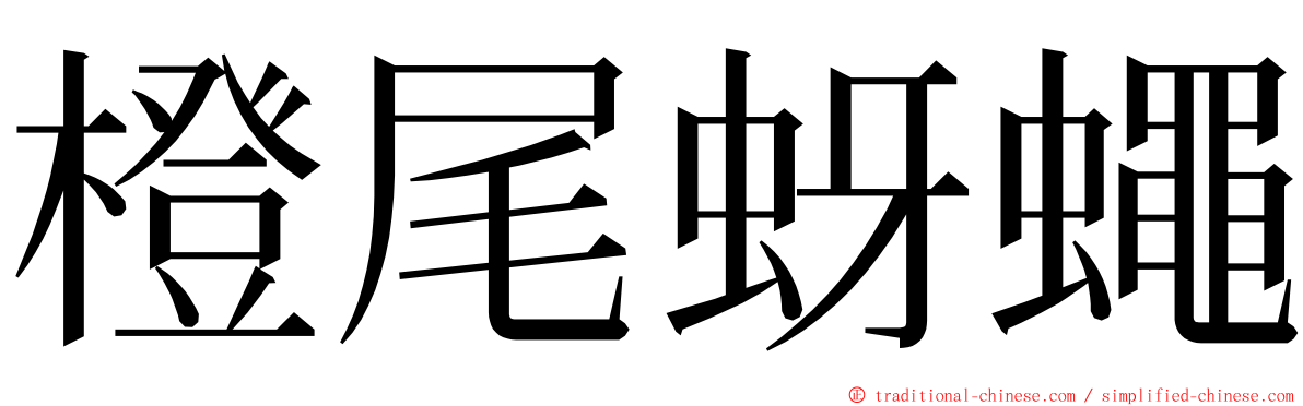 橙尾蚜蠅 ming font