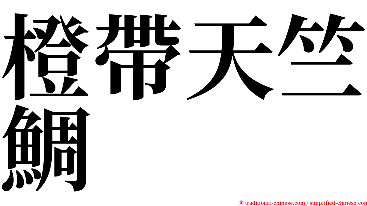 橙帶天竺鯛 serif font