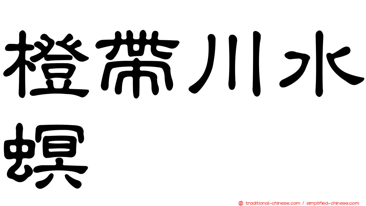 橙帶川水螟