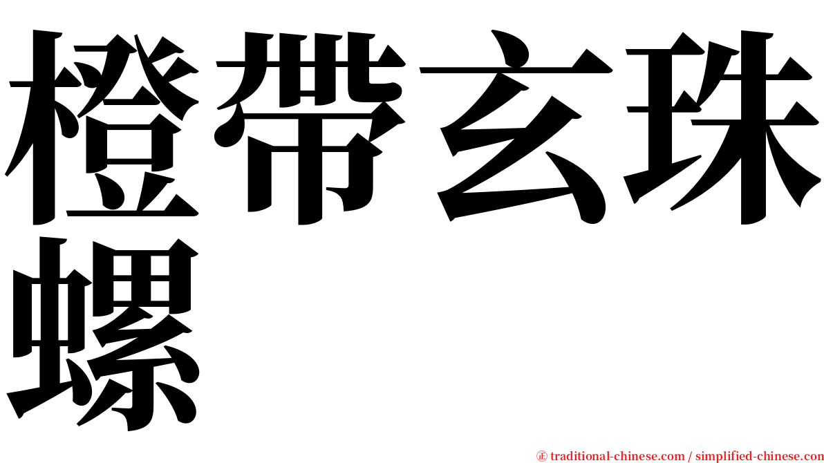 橙帶玄珠螺 serif font