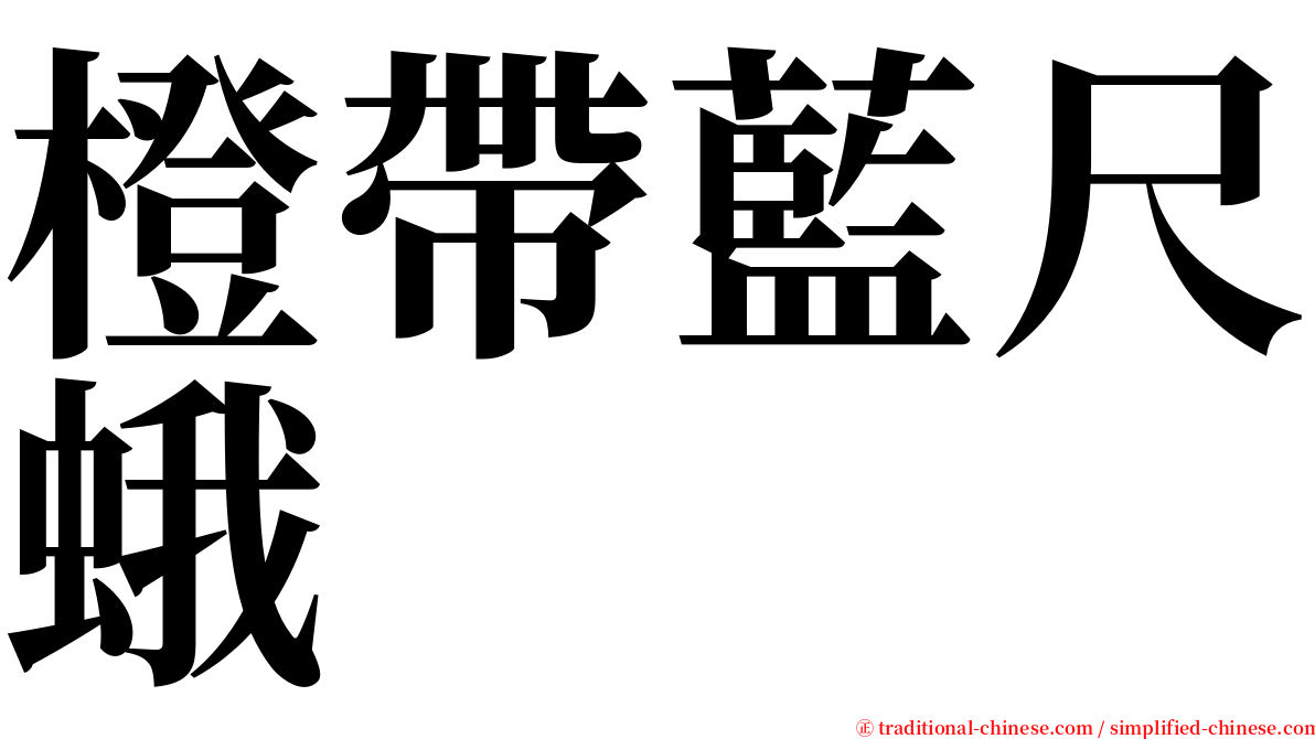 橙帶藍尺蛾 serif font