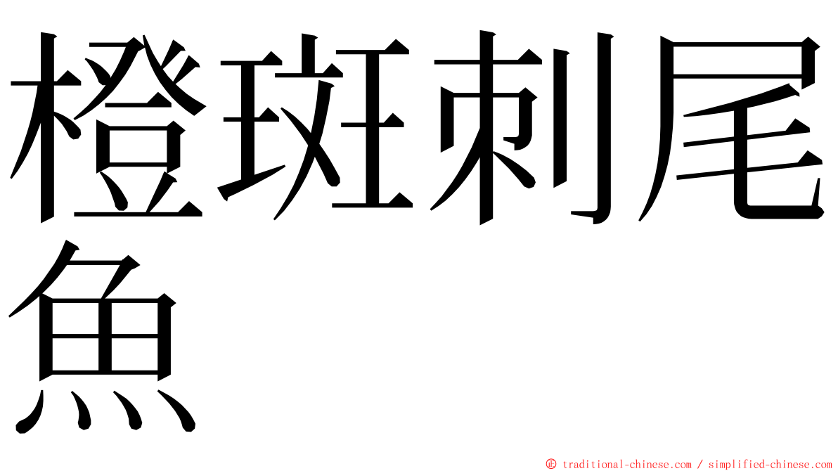 橙斑刺尾魚 ming font