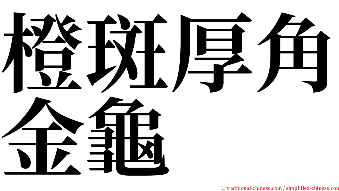 橙斑厚角金龜 serif font