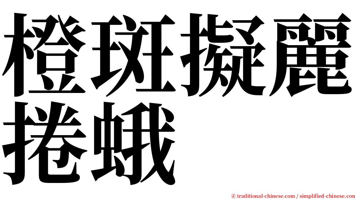 橙斑擬麗捲蛾 serif font