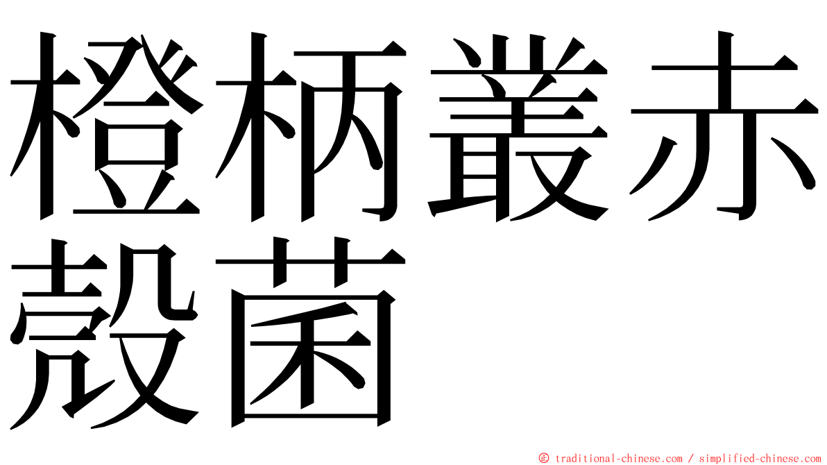 橙柄叢赤殼菌 ming font