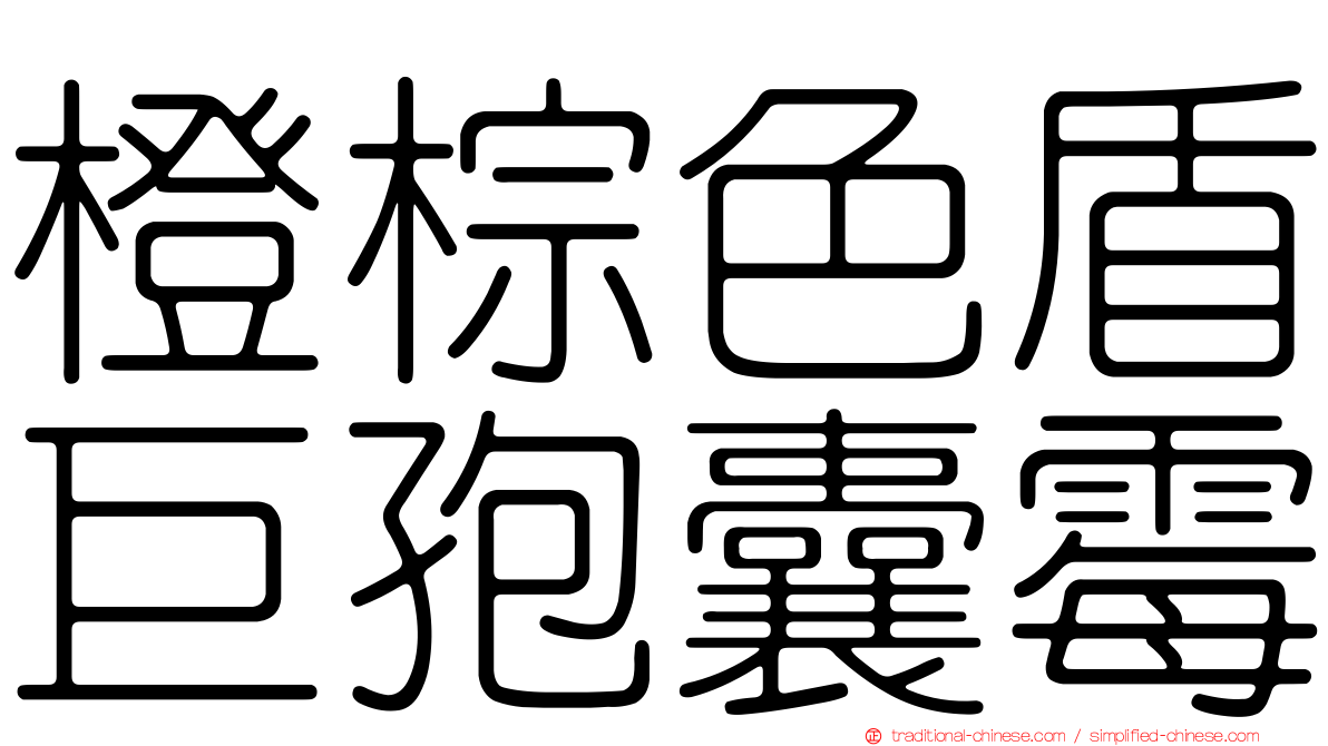 橙棕色盾巨孢囊霉