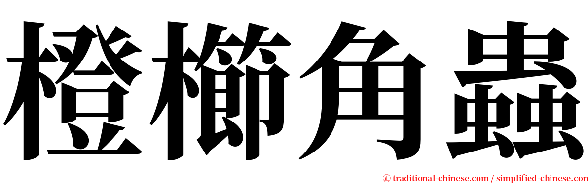 橙櫛角蟲 serif font