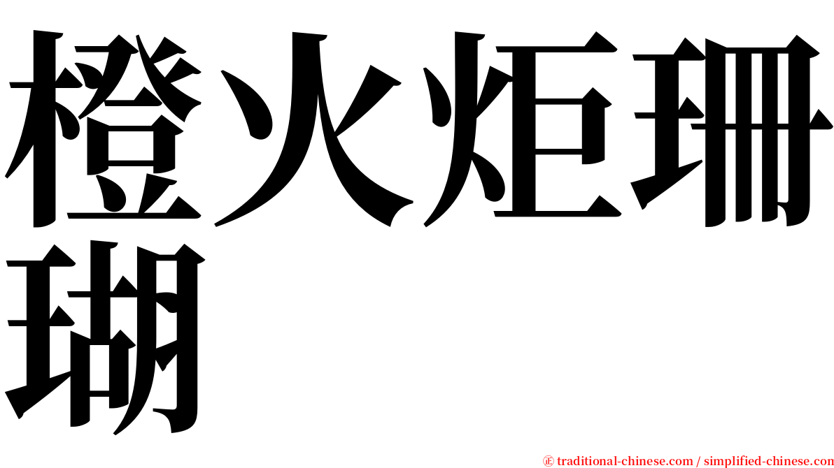 橙火炬珊瑚 serif font