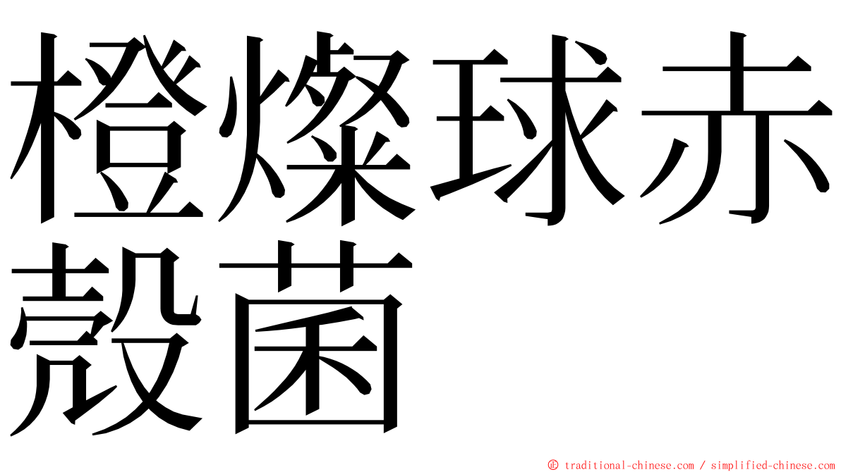 橙燦球赤殼菌 ming font