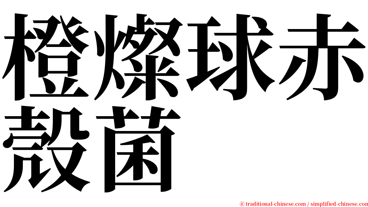 橙燦球赤殼菌 serif font