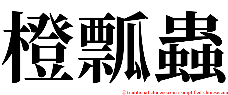 橙瓢蟲 serif font