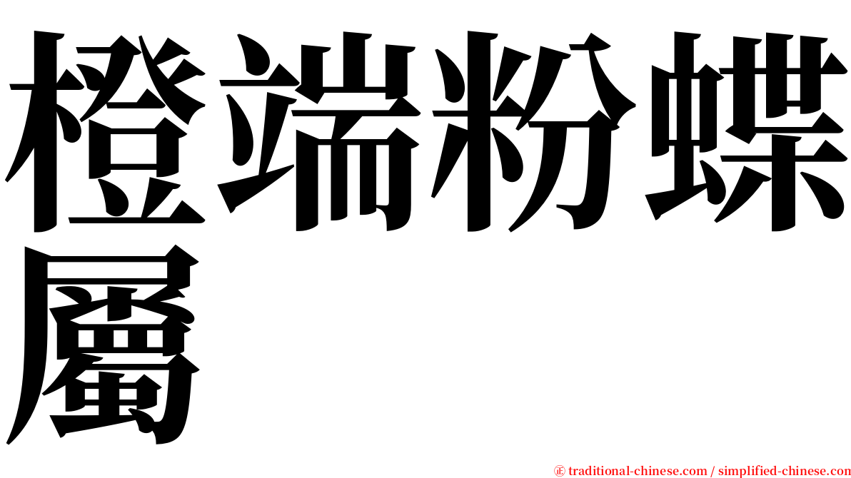 橙端粉蝶屬 serif font