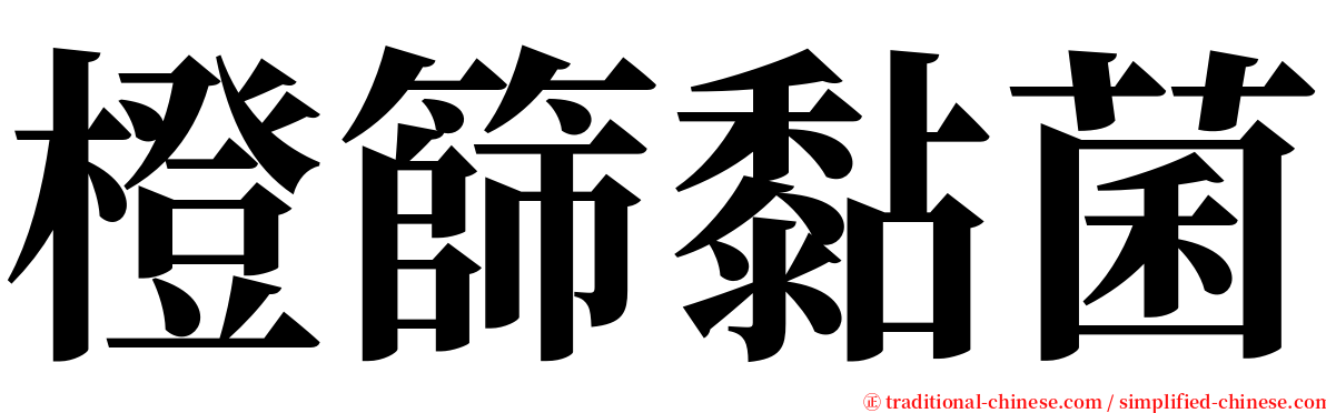 橙篩黏菌 serif font