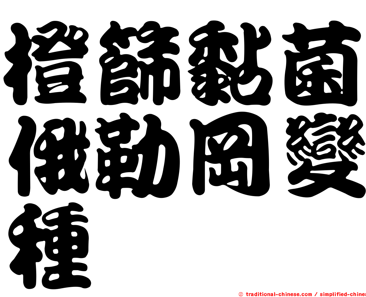 橙篩黏菌俄勒岡變種