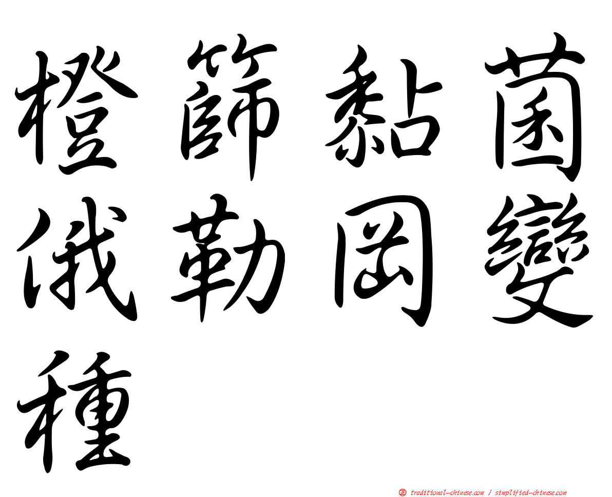 橙篩黏菌俄勒岡變種