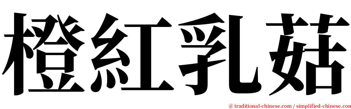 橙紅乳菇 serif font