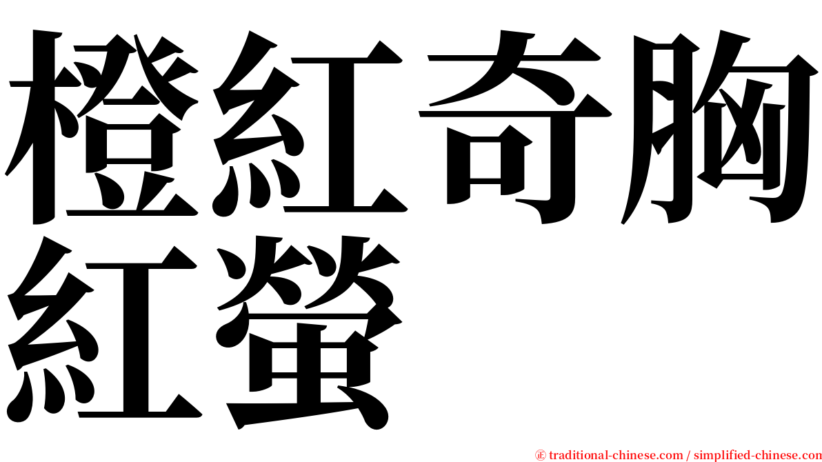 橙紅奇胸紅螢 serif font