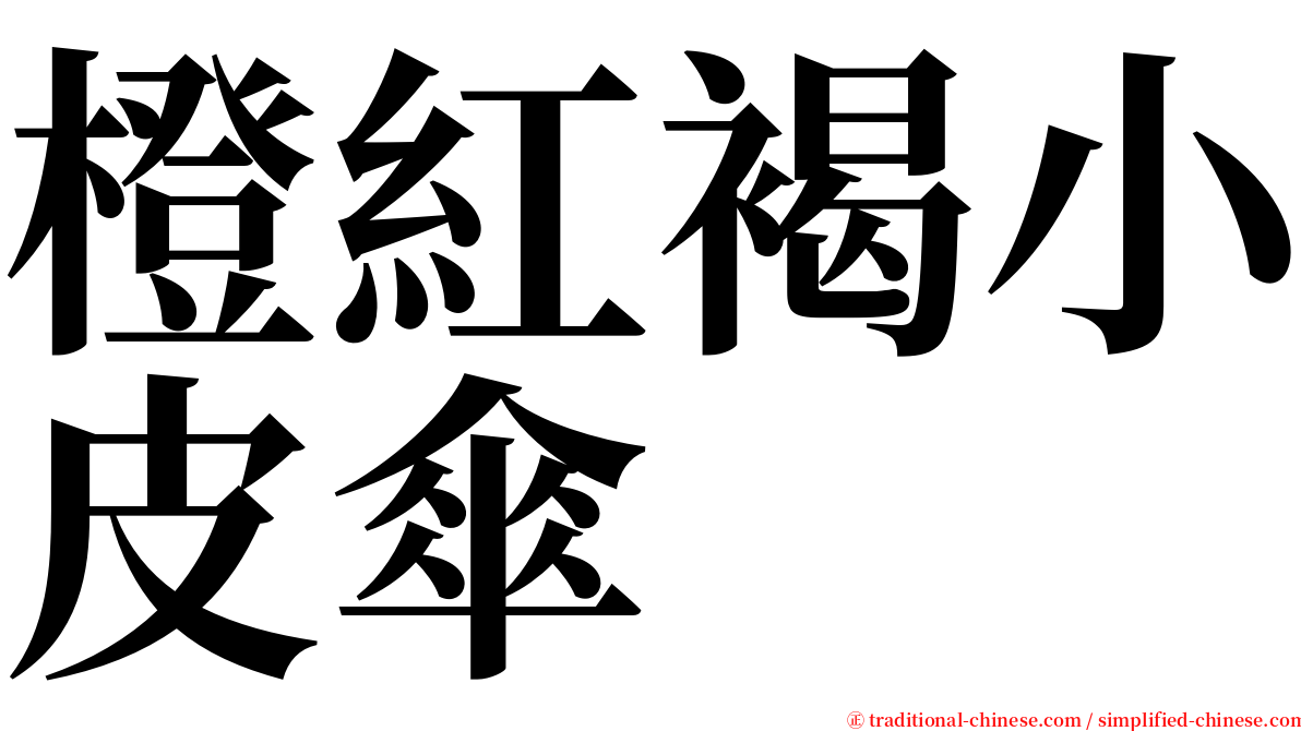 橙紅褐小皮傘 serif font