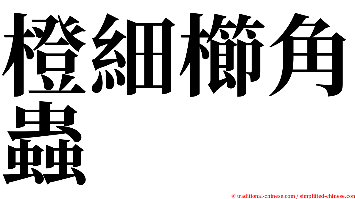 橙細櫛角蟲 serif font