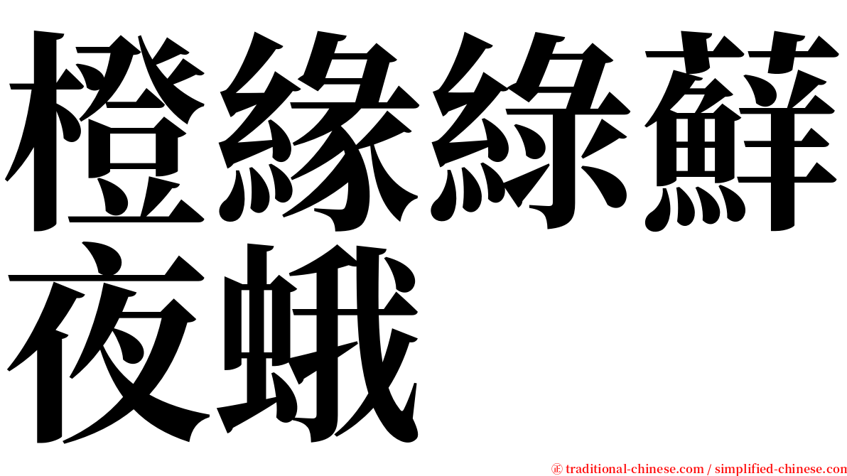 橙緣綠蘚夜蛾 serif font