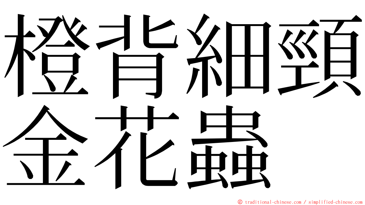 橙背細頸金花蟲 ming font