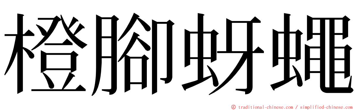 橙腳蚜蠅 ming font