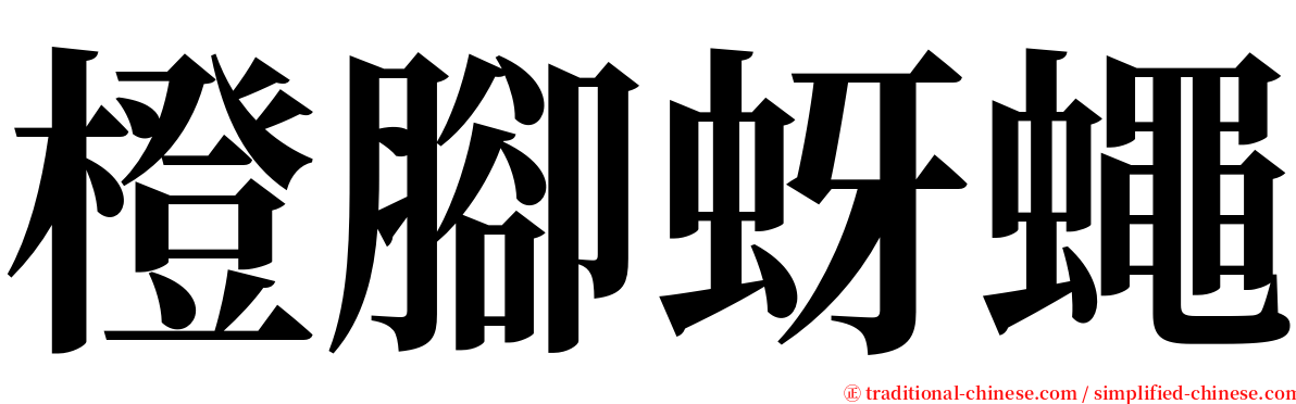 橙腳蚜蠅 serif font