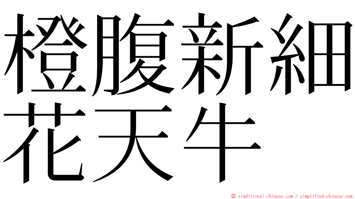 橙腹新細花天牛 ming font