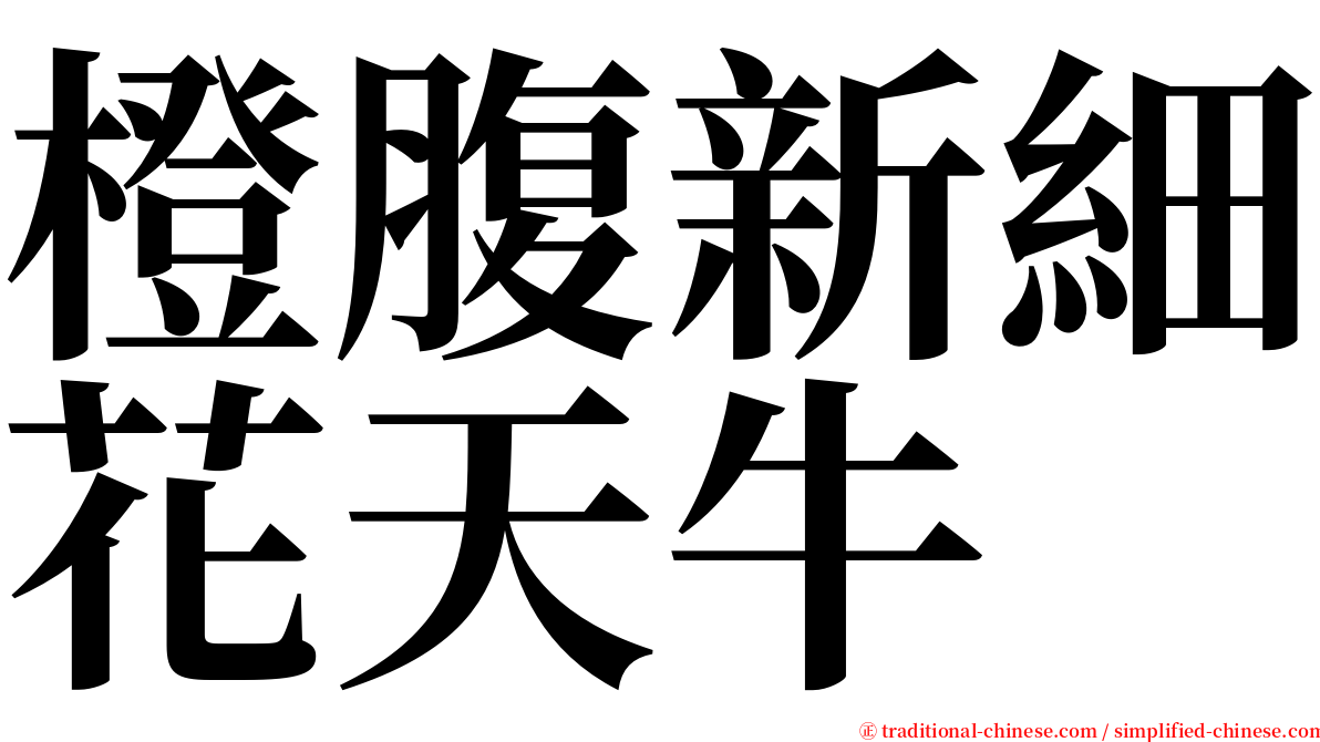 橙腹新細花天牛 serif font