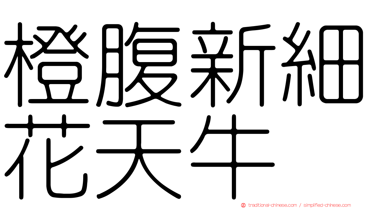 橙腹新細花天牛