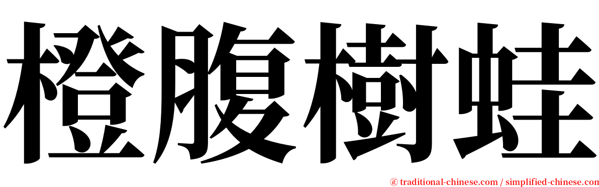 橙腹樹蛙 serif font