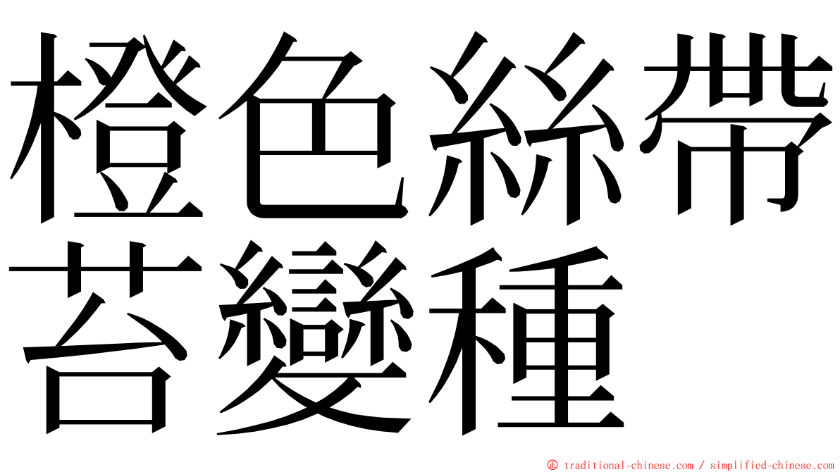 橙色絲帶苔變種 ming font