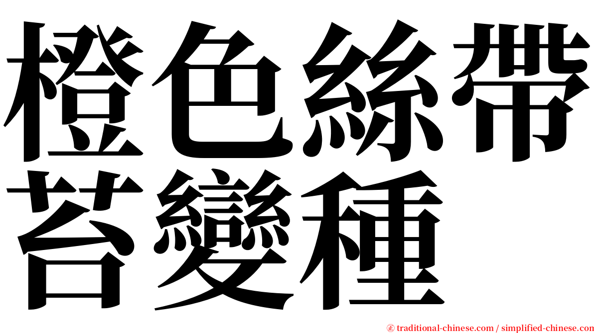 橙色絲帶苔變種 serif font