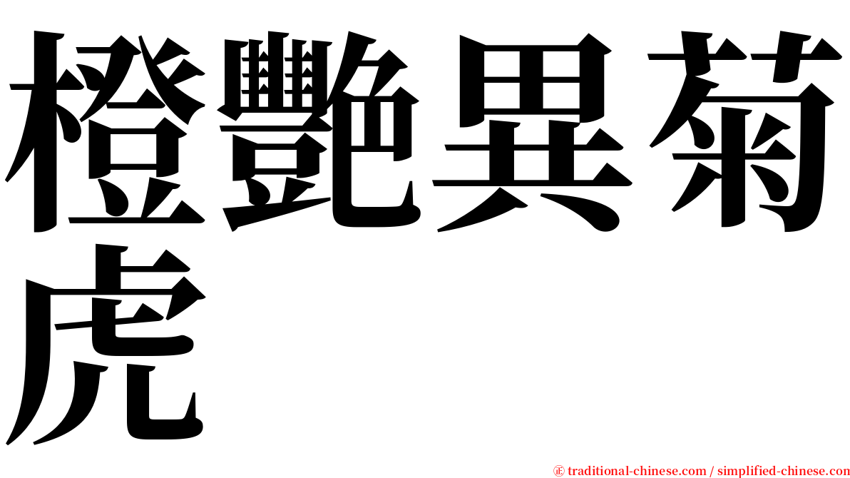 橙艷異菊虎 serif font