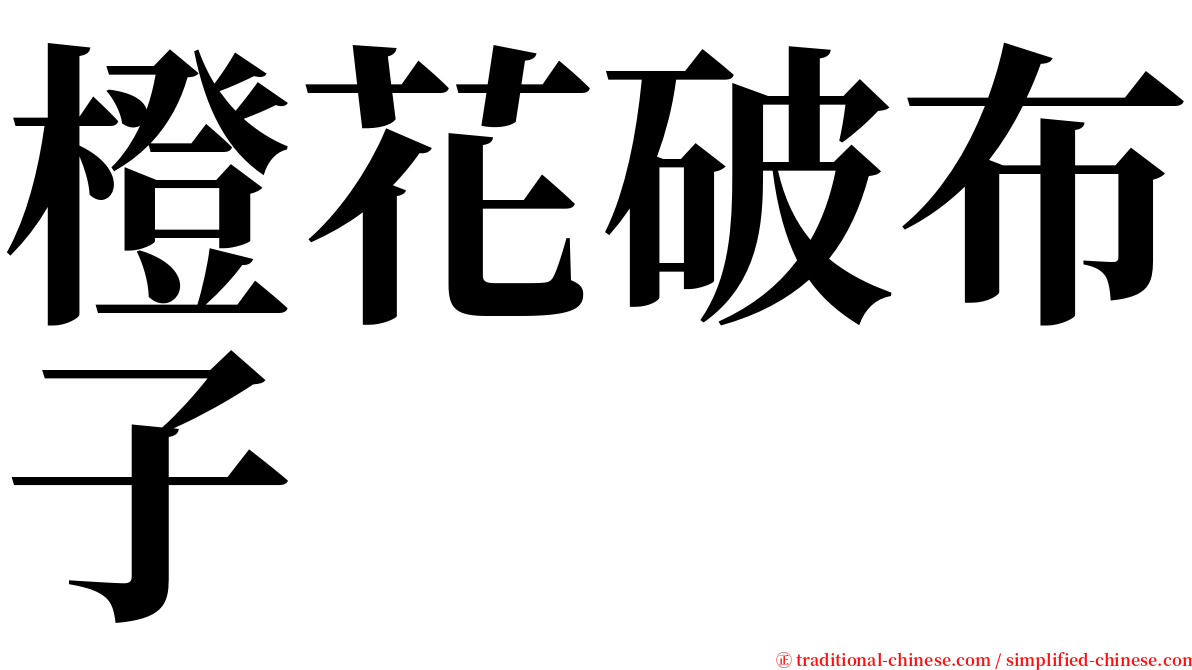 橙花破布子 serif font