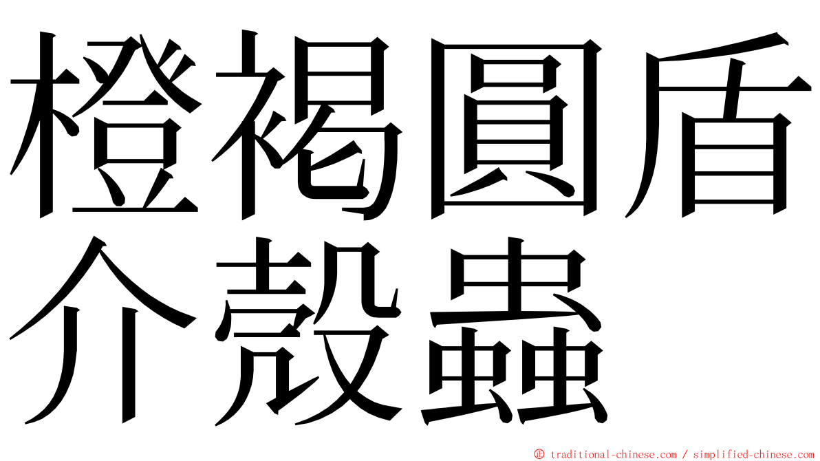 橙褐圓盾介殼蟲 ming font