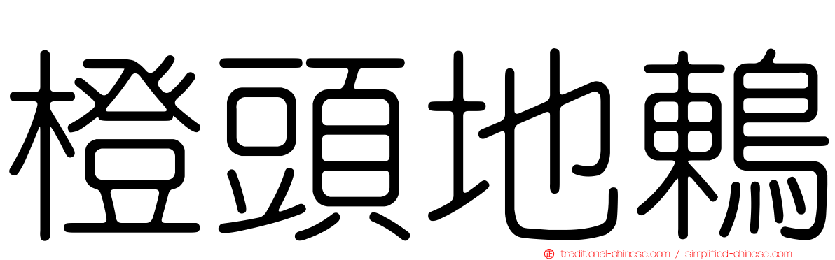 橙頭地鶇