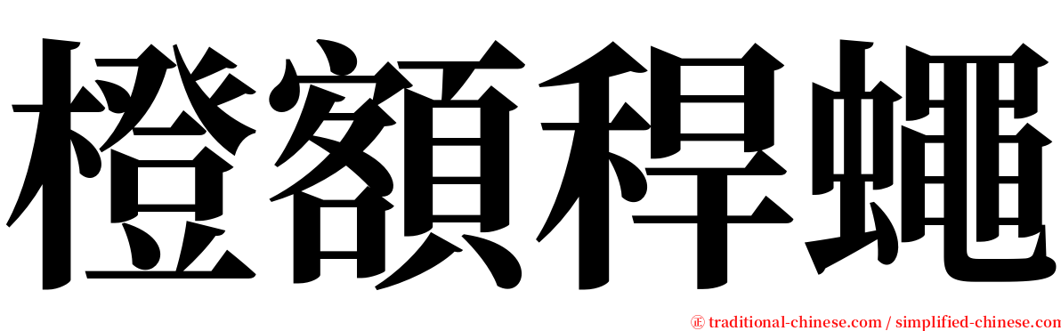 橙額稈蠅 serif font