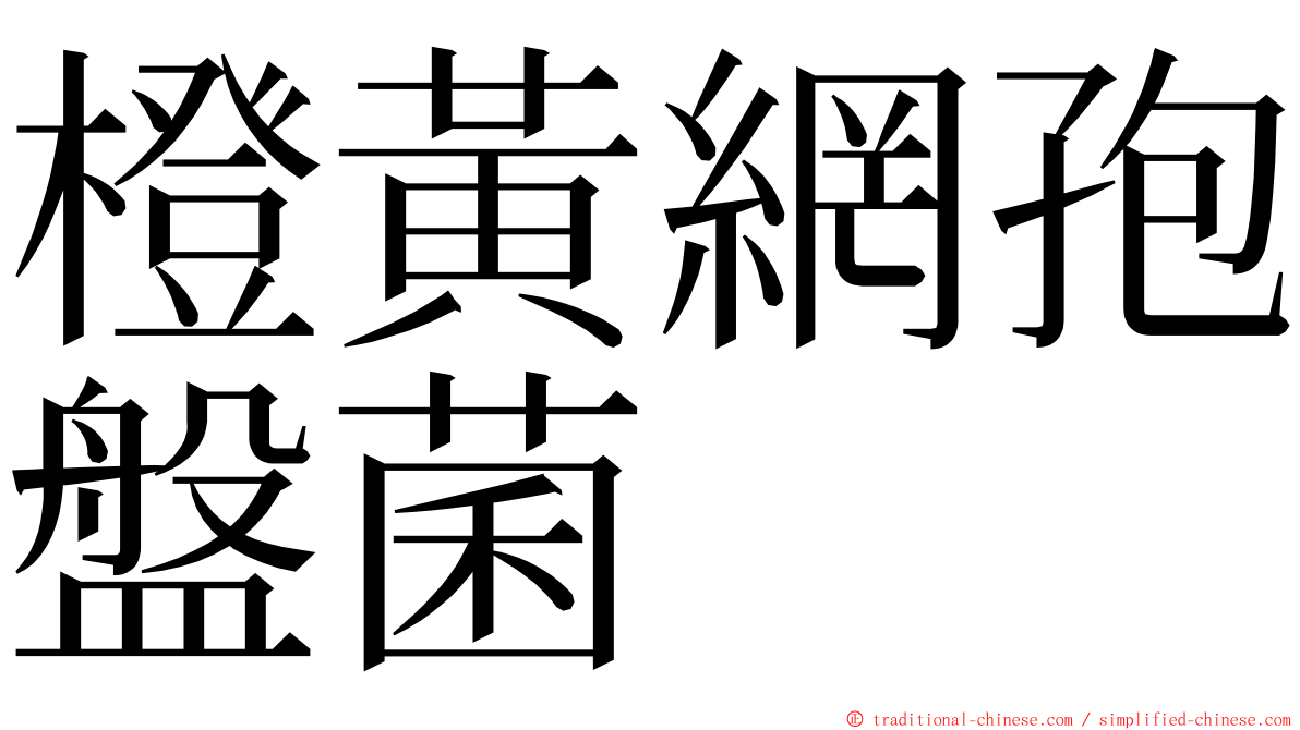 橙黃網孢盤菌 ming font