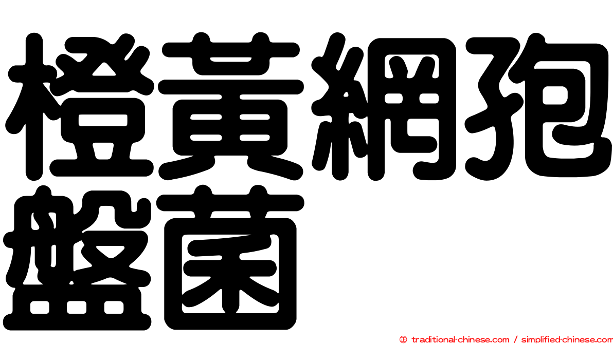 橙黃網孢盤菌