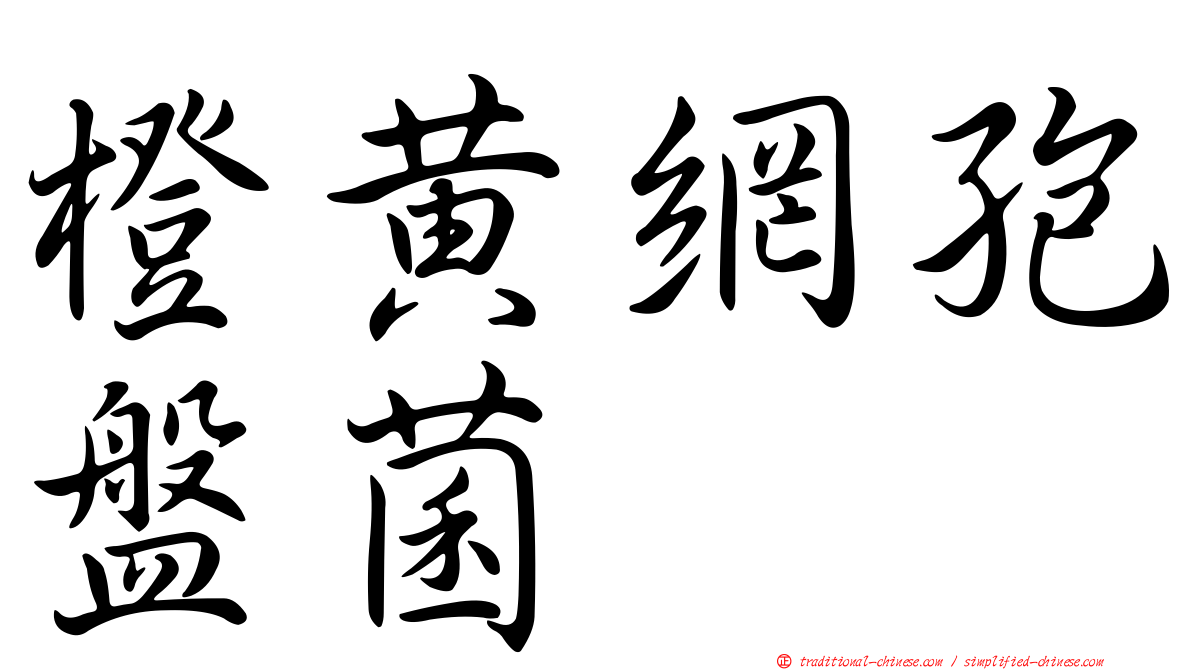 橙黃網孢盤菌