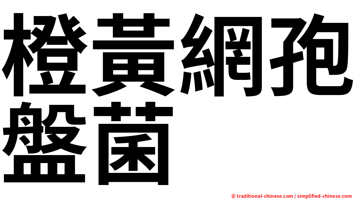 橙黃網孢盤菌