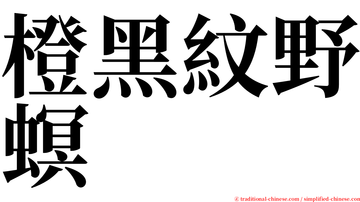 橙黑紋野螟 serif font