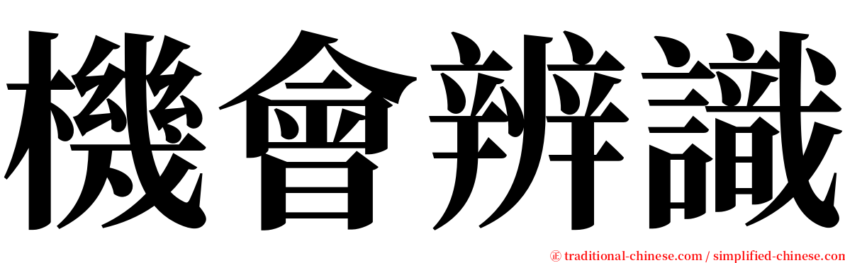 機會辨識 serif font