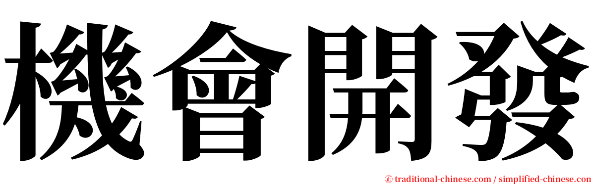 機會開發 serif font