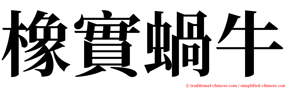 橡實蝸牛 serif font